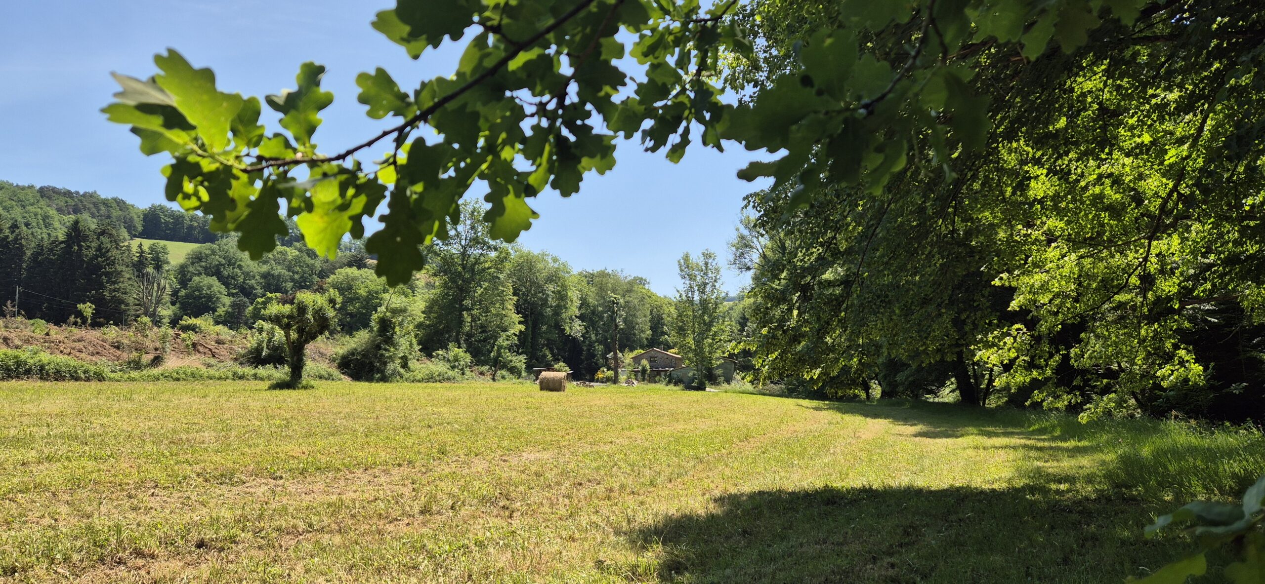 Le Jardin des pardons à Rayssac dans le Tarn (81) paysage bucolique