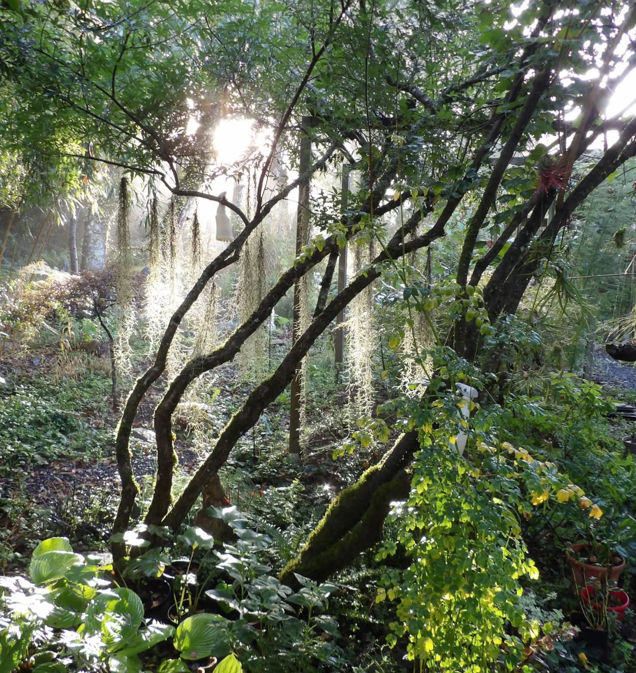 Le Jardin des pardons à Rayssac dans le Tarn (81)